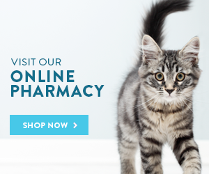 pharmacy cat